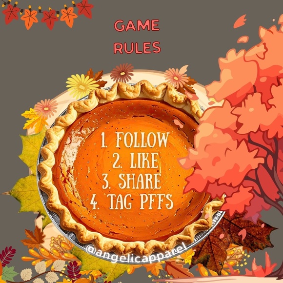 SEASONAL FOLLOW GAME - Picture 2 of 4